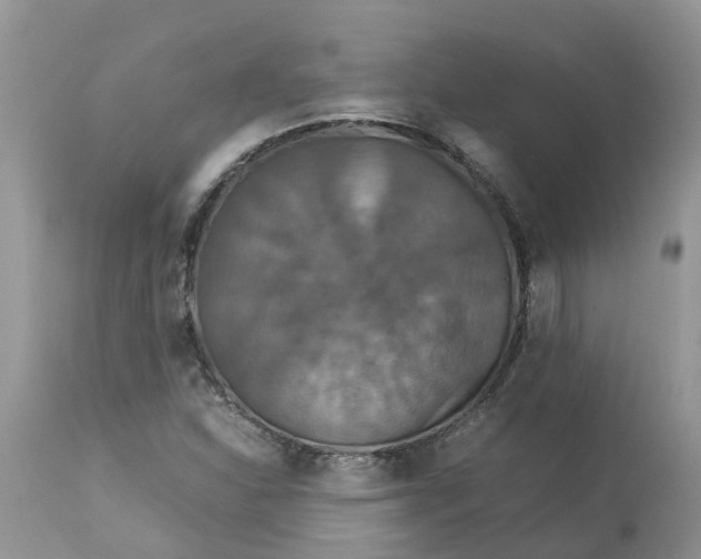 X0000113111310200909111106