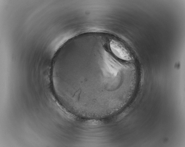 X0000113111314200909111106