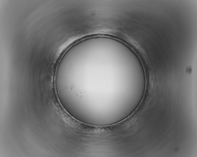X0000113111316200909111106