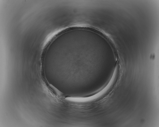 X0000113111319200909111106