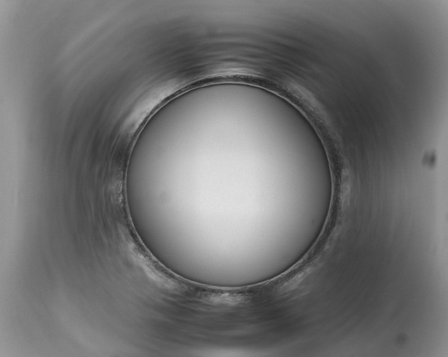 X0000113111321200909111106