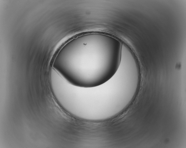 X0000113111324200909111106