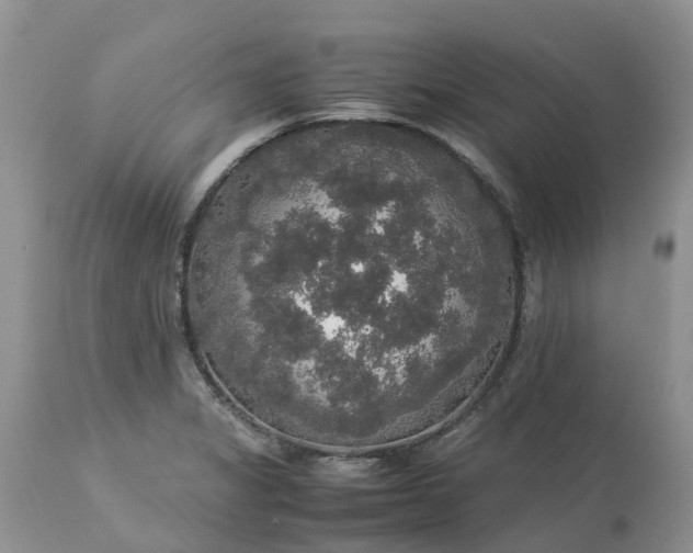 X0000113111325200909111106
