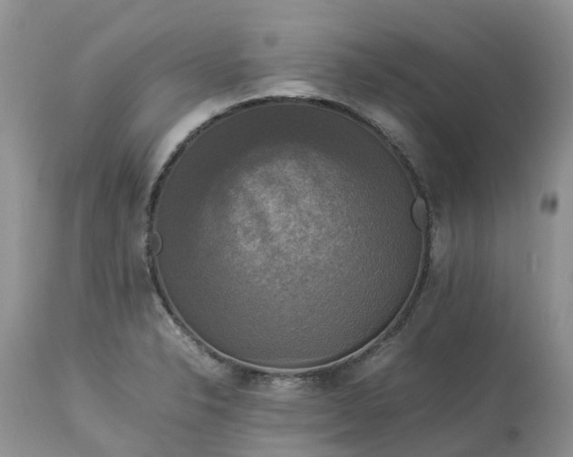X0000113111326200909111106