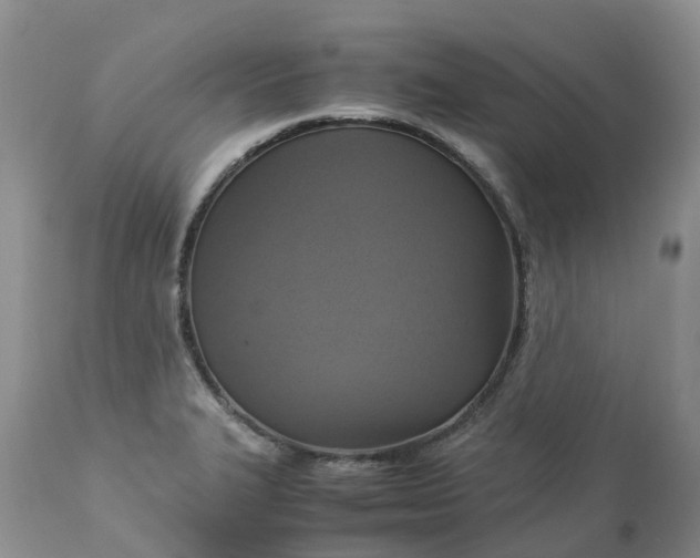 X0000113111327200909111106