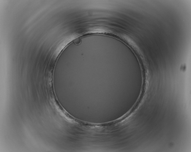 X0000113111329200909111106