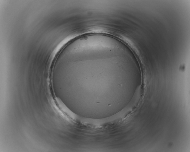 X0000113111331200909111106