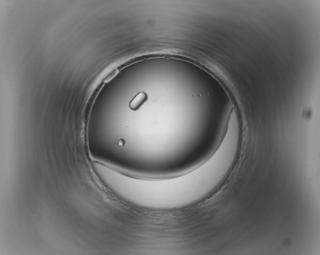 X0000113111332200909111106