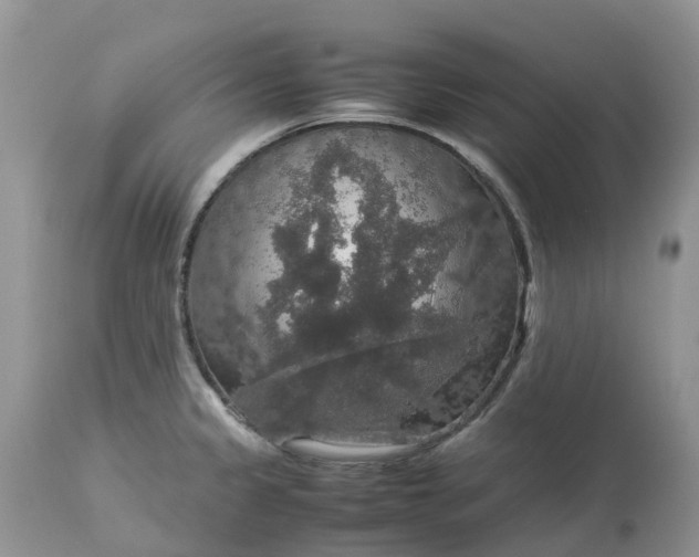 X0000113111333200909111106