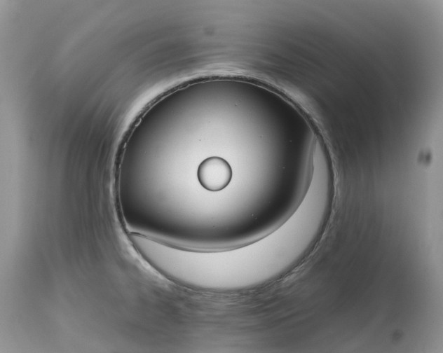 X0000113111334200909111106