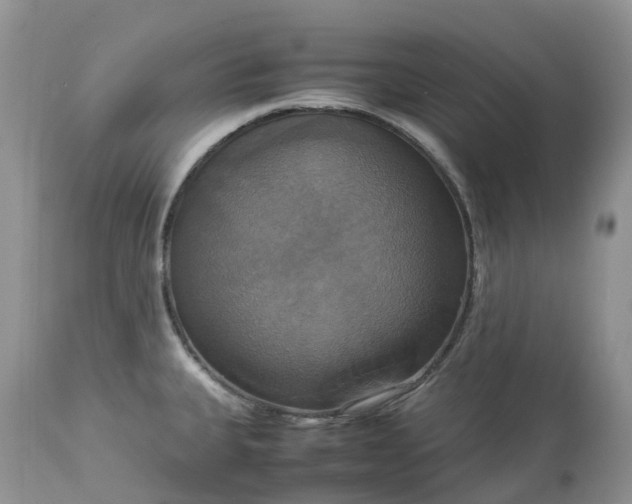 X0000113111335200909111106