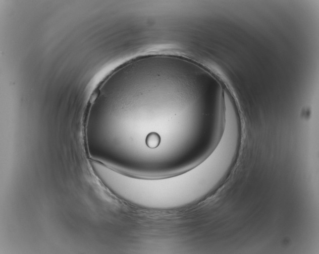 X0000113111336200909111106