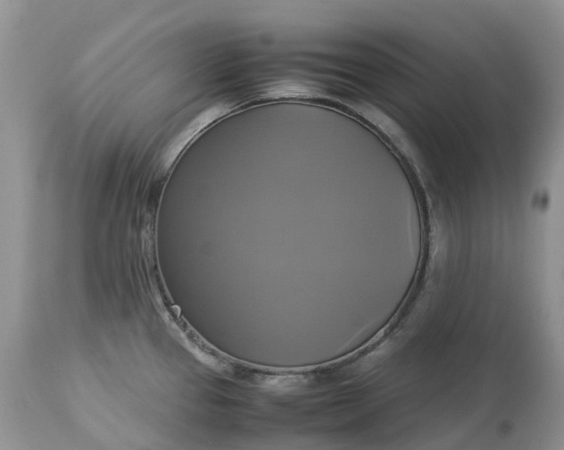 X0000113111337200909111106