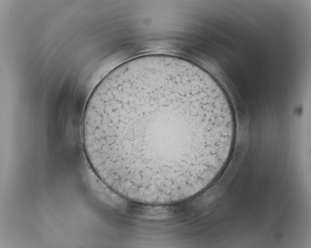 X0000113111338200909111106