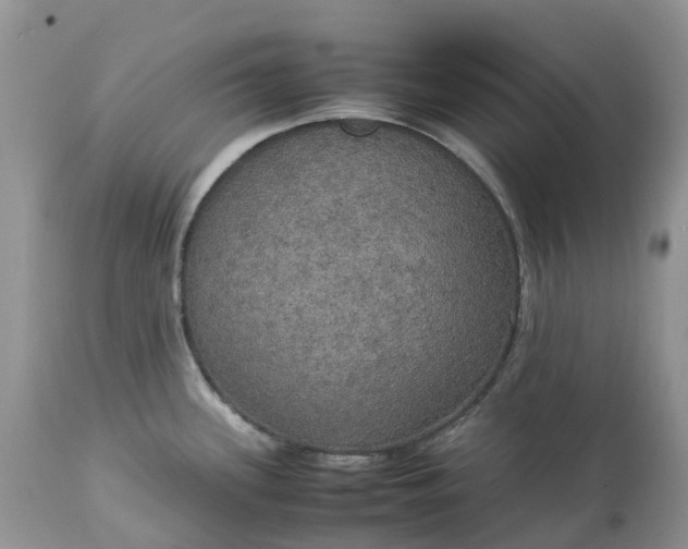 X0000113111339200909111106
