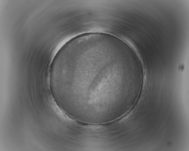 X0000113111340200909111106