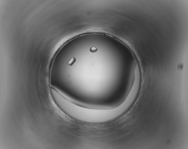X0000113111342200909111106
