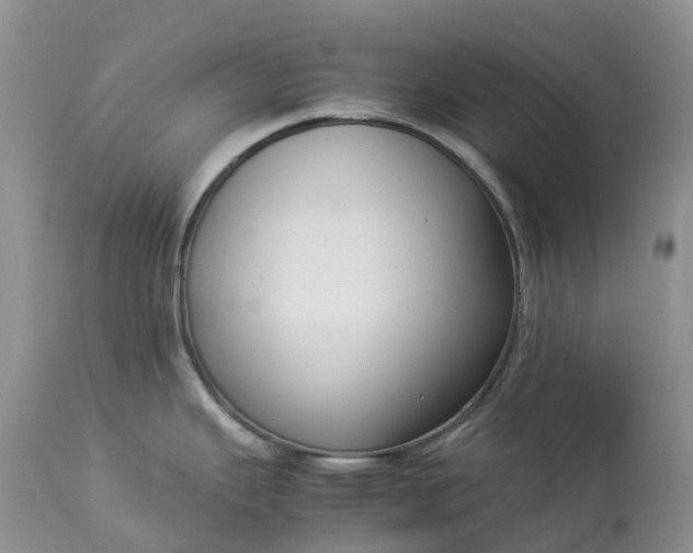 X0000113111343200909111107