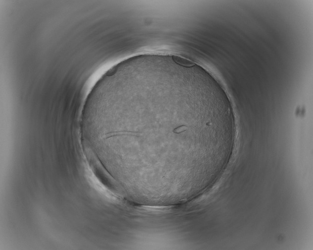 X0000113111344200909111107