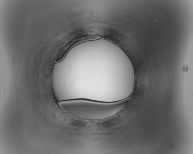 X0000113111345200909111106