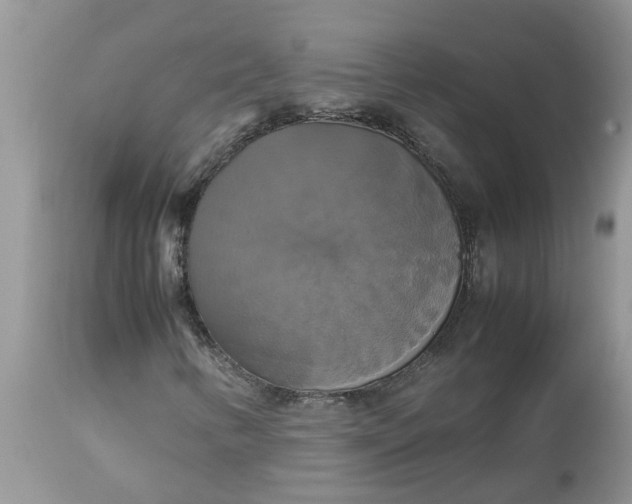 X0000113111346200909111106