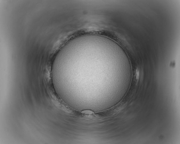 X0000113111348200909111106