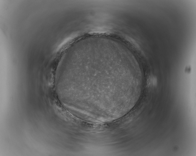 X0000113111350200909111106