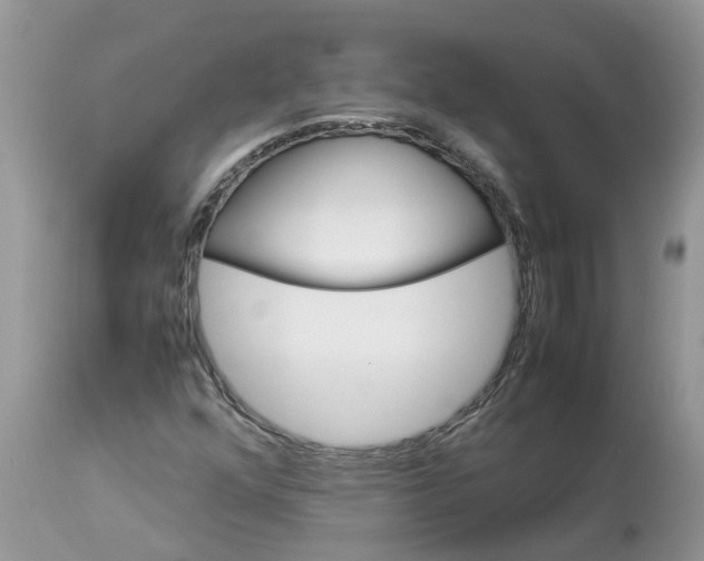 X0000113111352200909111106