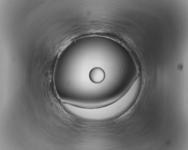 X0000113111353200909111106