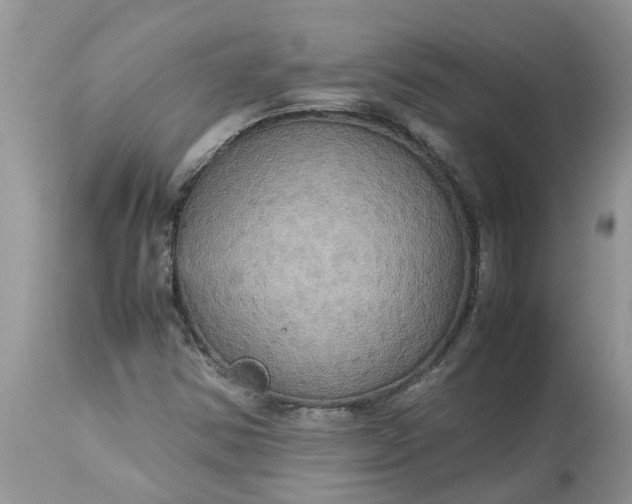 X0000113111354200909111106