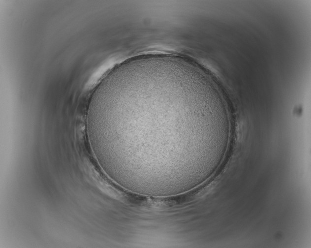 X0000113111355200909111106