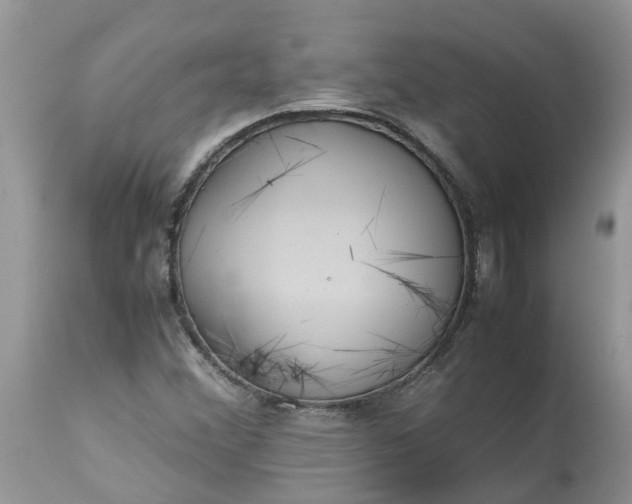 X0000113111356200909111106
