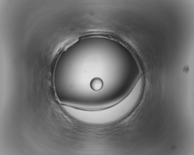 X0000113111357200909111106