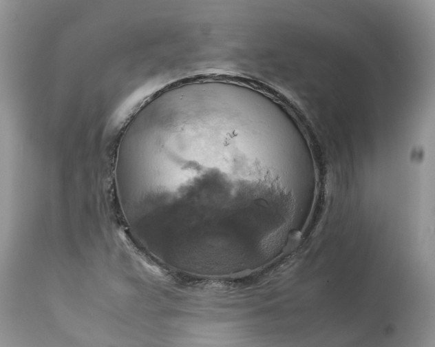 X0000113111359200909111105