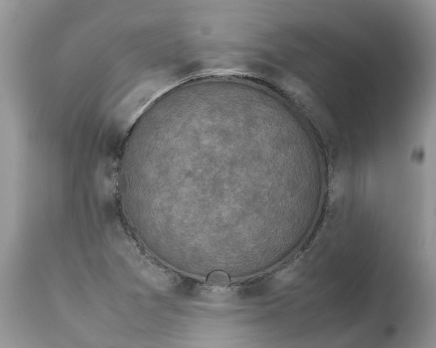 X0000113111361200909111105