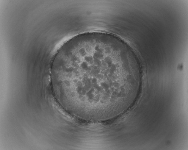 X0000113111363200909111105