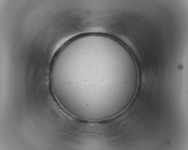 X0000113111364200909111105