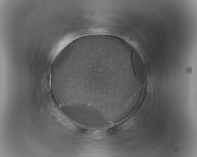 X0000113111365200909111105