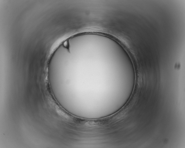 X0000113111366200909111105