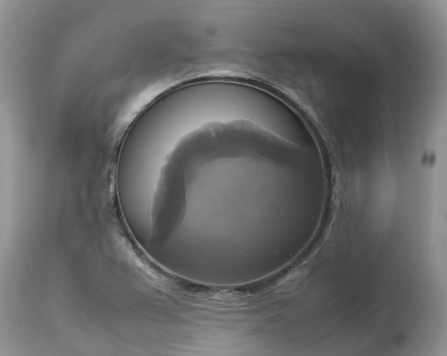 X0000113111367200909111105