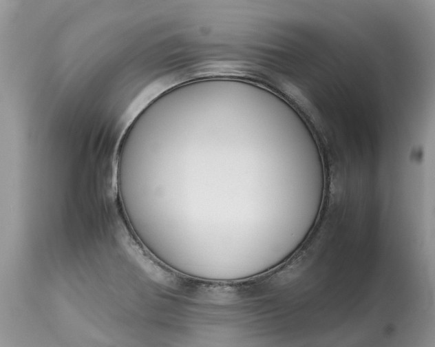 X0000113111370200909111105