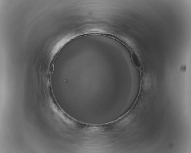 X0000113111373200909111105