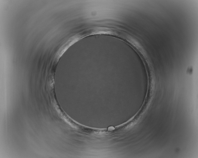 X0000113111377200909111105