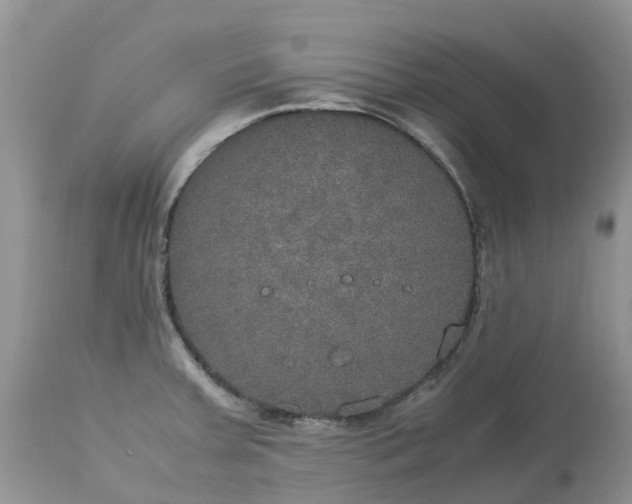 X0000113111379200909111105