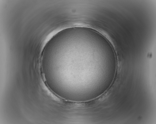 X0000113111381200909111105