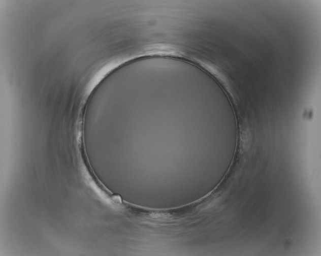 X0000113111383200909111105