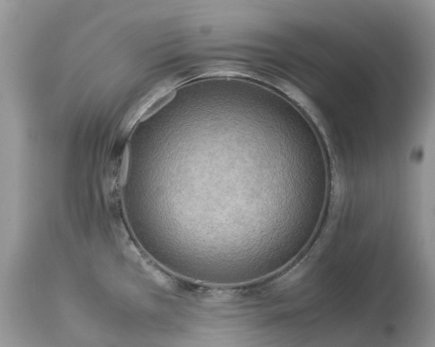 X0000113111385200909111105