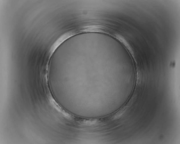 X0000113111386200909111105