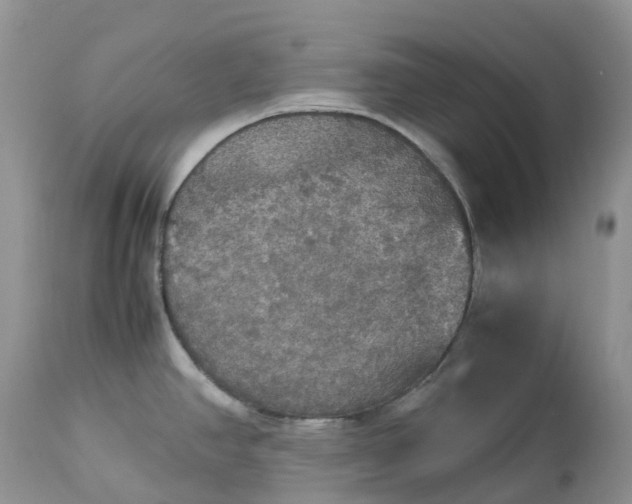 X0000113111390200909111105