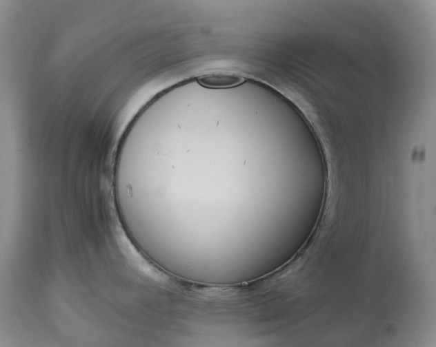 X0000113111392200909111105